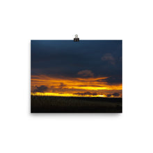 Corn Field at Sunset Photo