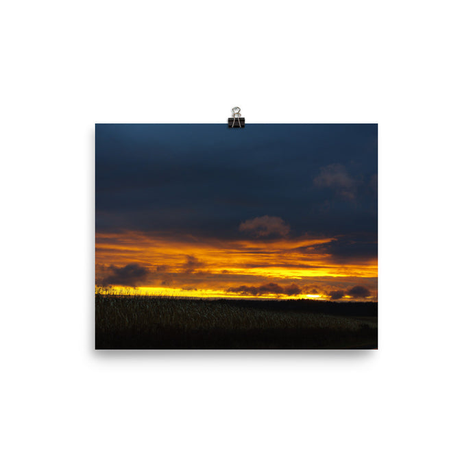 Corn Field at Sunset Photo