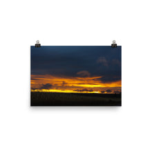 Corn Field at Sunset Photo