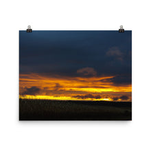 Corn Field at Sunset Photo